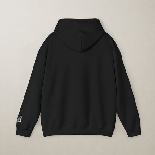 Palestine Unisex Embroidered Hoodie