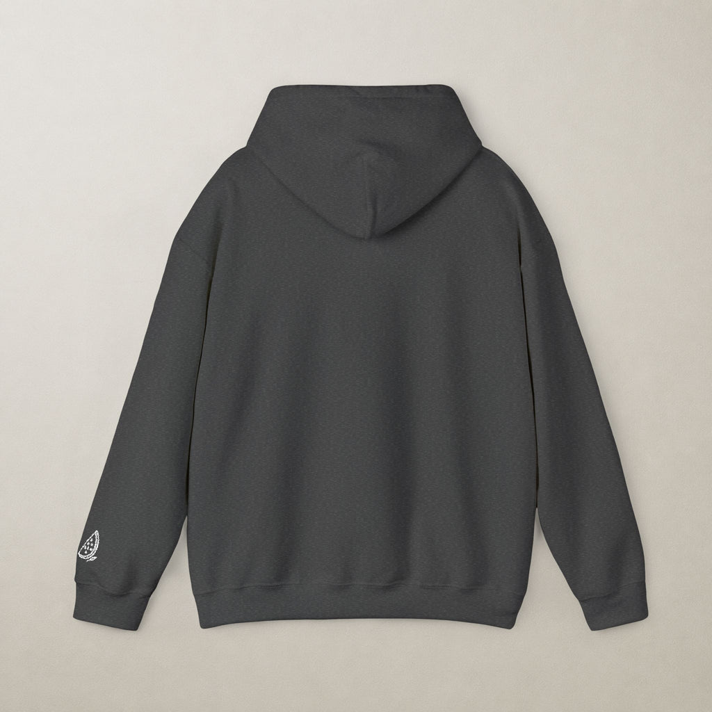 Palestinian 67 Unisex Embroidered Hoodie