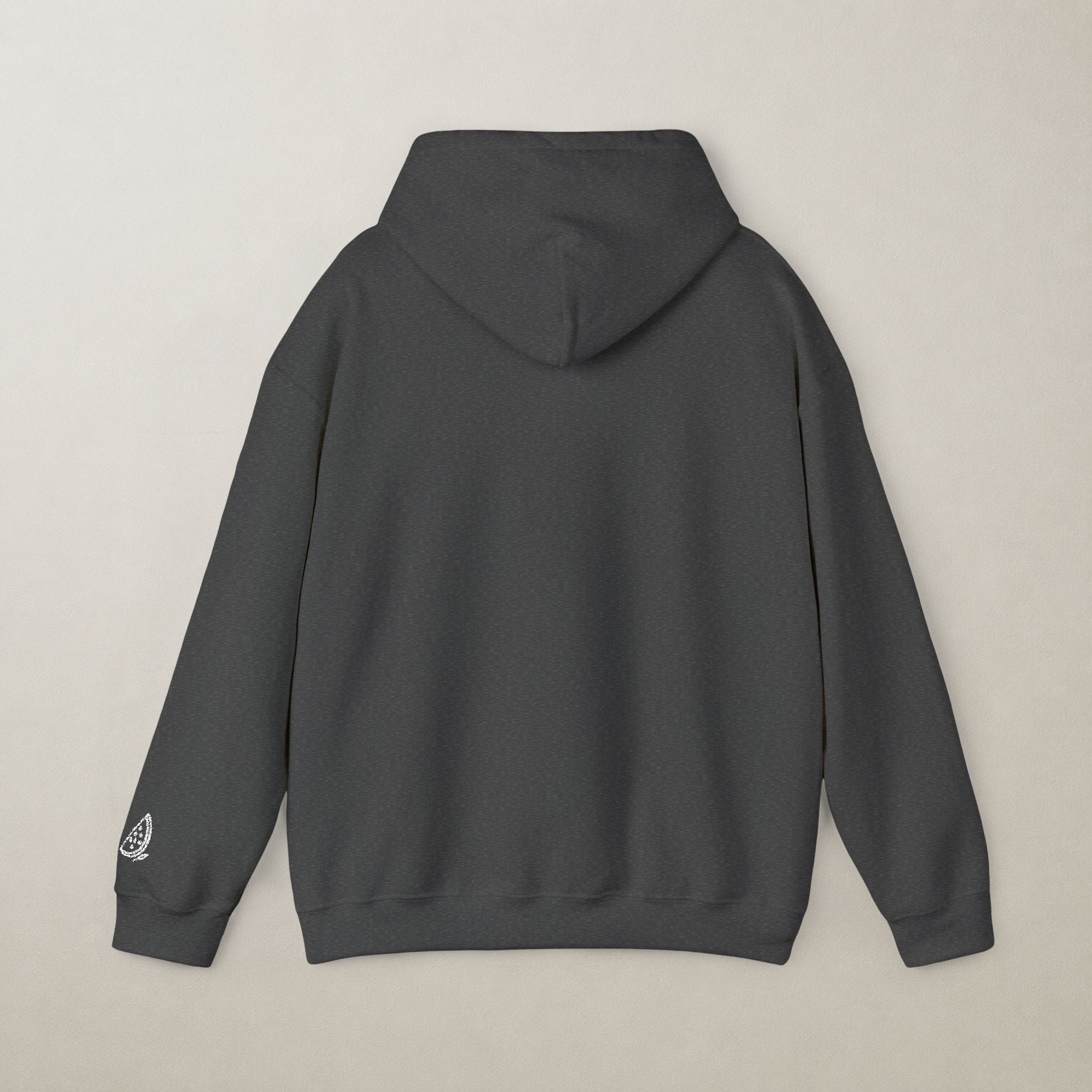 Palestinian 67 Unisex Embroidered Hoodie