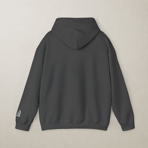 Palestinian 67 Unisex Embroidered Hoodie